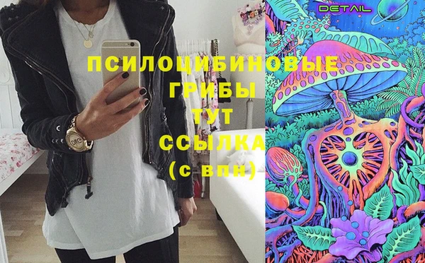 соль курить ск Алзамай