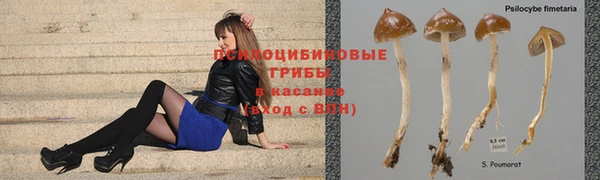 соль курить ск Алзамай