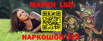стаф Донецк