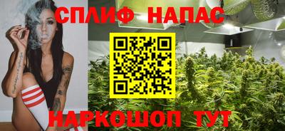 стаф Донецк