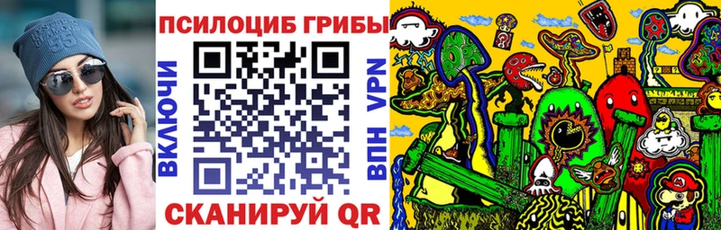 Псилоцибиновые грибы MAGIC MUSHROOMS  дарнет шоп  нарко площадка Telegram  Кызыл 