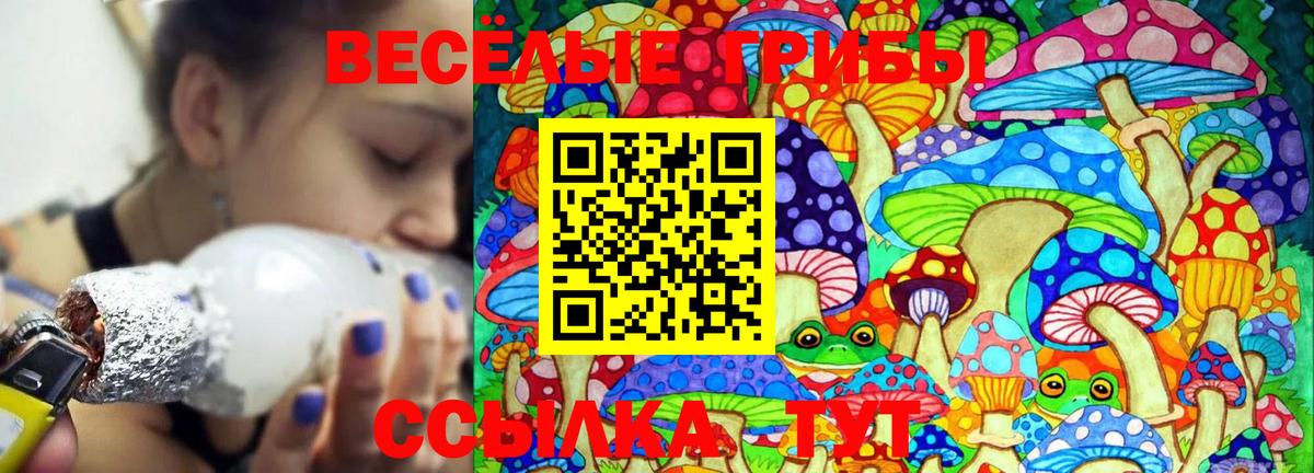 Кызыл  закладка  Вход с VPN  Псилоцибиновые грибы Psilocybine cubensis 