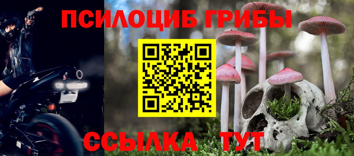 Галлюциногенные грибы Psilocybine cubensis Кызыл